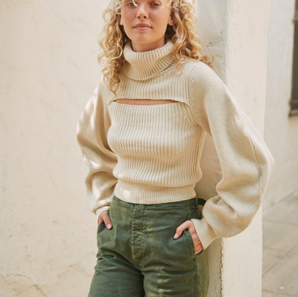 ISO the Free People Ariel Turtleneck. Size small.
